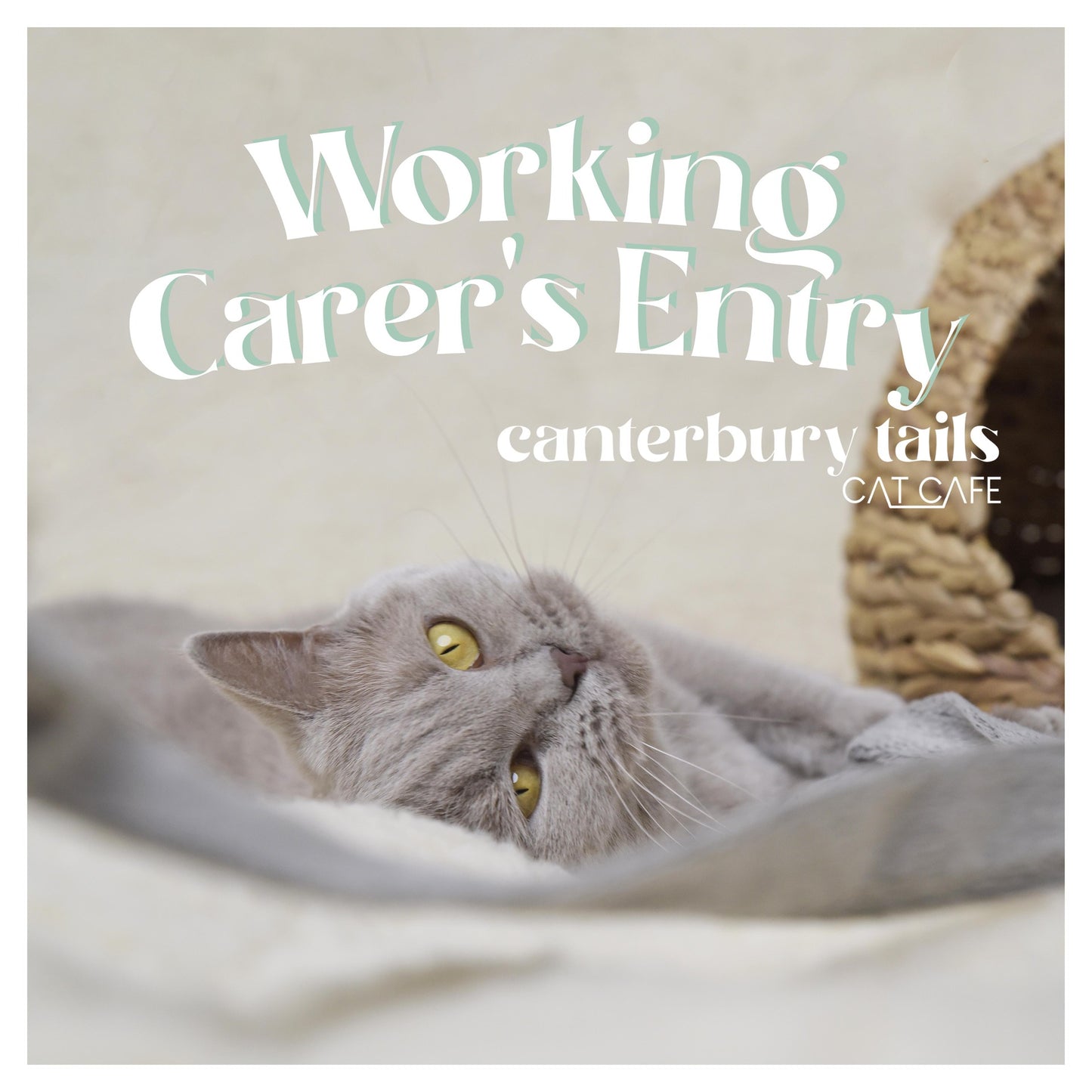 Cafe Entry - Working Carer's Discount