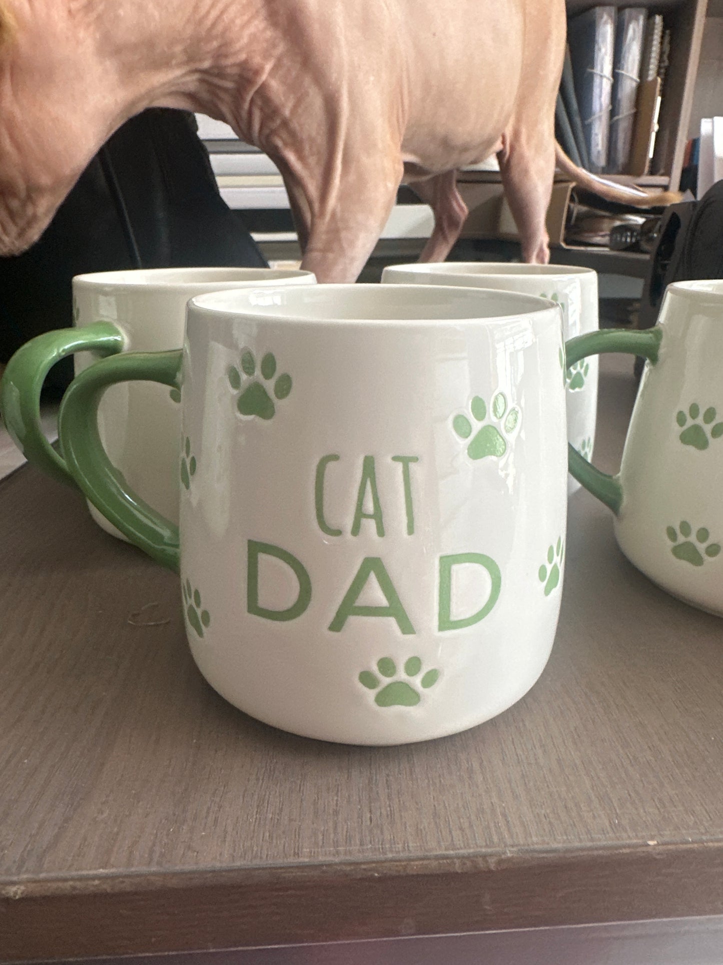 Cat Dad Mug
